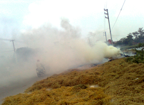 Alcuni cumuli di paglia di riso vengono dati alle fiamme